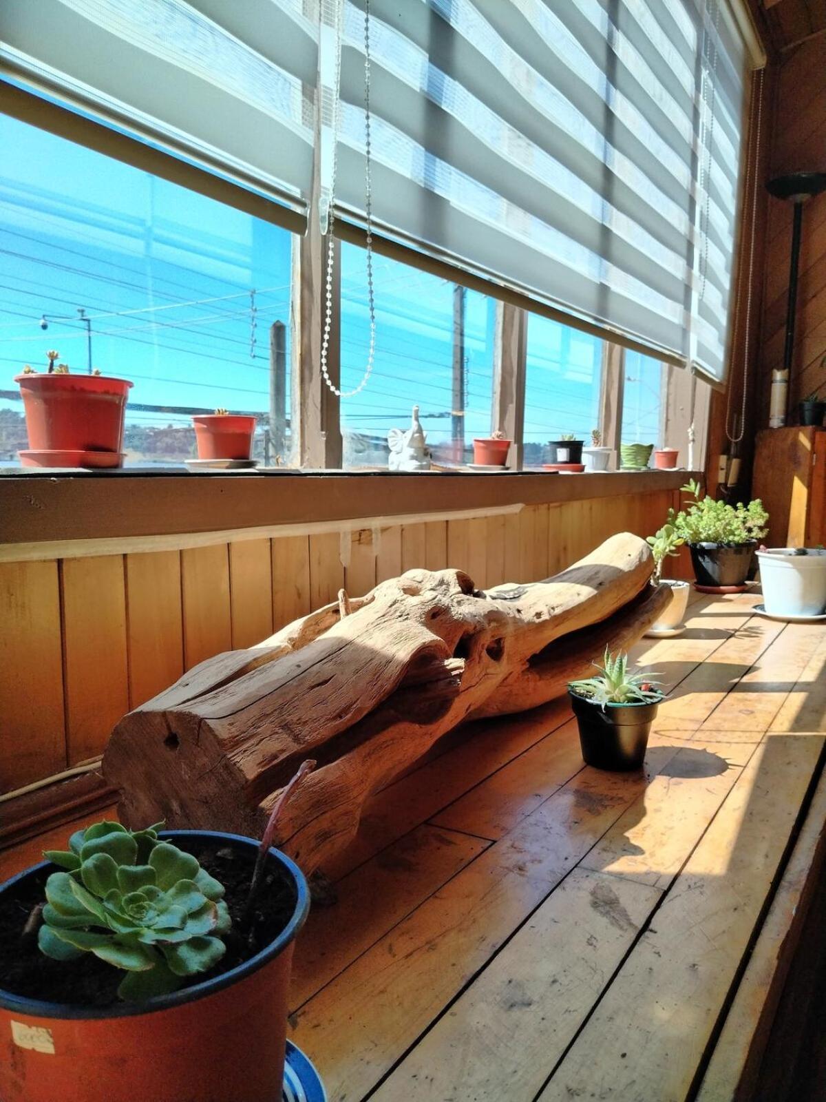 Habitacion Arrayan 卡斯特鲁 外观 照片